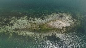 Sapanca Gölü'nde Su Seviyesi Kritik Eşiklerin Altında: Kalıntılar Ortaya Çıktı