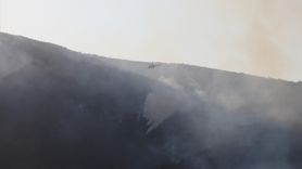 Şarköy'deki Orman Yangını Kontrol Altına Alındı