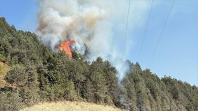 Sinop'ta Orman Yangınına Müdahale Başlatıldı