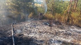 Sinop'ta Orman Yangınına Müdahale Devam Ediyor