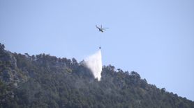 Sinop'taki Orman Yangını Kontrol Altına Alındı