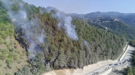 Sinop'taki Orman Yangını Kontrol Altına Alındı