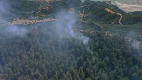 Sinop'taki Orman Yangınında Müdahale Devam Ediyor