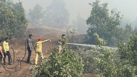 Şırnak'ta Orman Yangını Kontrol Altına Alındı
