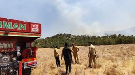 Şırnak'ta Yangınla Mücadele: Havadan ve Karadan Müdahale