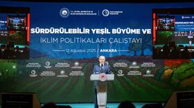 Sürdürülebilir Yeşil Büyüme Çalıştayı: İklim Politikasında Yeni Adımlar