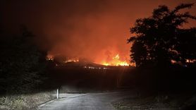 Suriye'deki Orman Yangınları Büyüyor