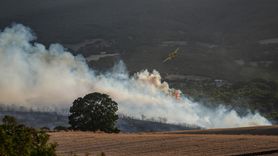 Susurluk'ta Orman Yangınına Müdahale Devam Ediyor