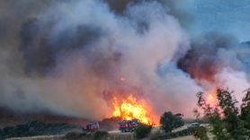 Susurluk'taki Orman Yangını Kontrol Altına Alındı