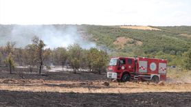 Tekirdağ'da Anız Yangını Ormana Sıçradı
