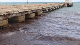 Tekirdağ Sahilinde Kırmızı Yosun Birikimi