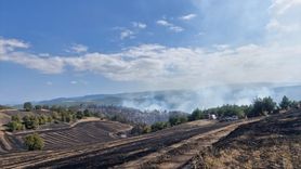 Tokat'ta Orman Yangını ile İlgili Gözaltı