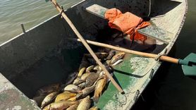 Van'da Kaçak Balık Avcılarına Yüksek Ceza