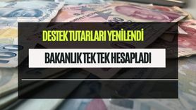 2026 Destekleme Rakamları Belli Oldu! İşte Kalem Kalem Yeni Tutar Listesi