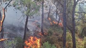 Adana Sarıçam'da Orman Yangınına Müdahale Devam Ediyor