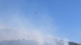 Alanya'daki Orman Yangınına Hızla Müdahale Ediliyor