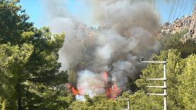 Antalya'da Orman Yangını Kontrol Altına Alınmaya Çalışılıyor