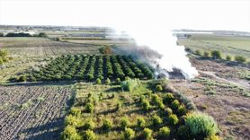 Antalya'daki Yangınlar Kontrol Altına Alındı