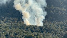 Ataşehir'deki Orman Yangını Sövüldü