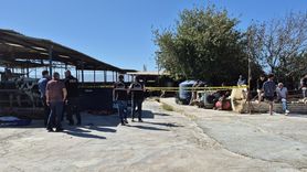 Aydın'da Süt Kamyonunun Altında Kalan Çocuk Hayatını Kaybetti