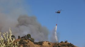 Aydın'da Yangınla Mücadele Başlatıldı