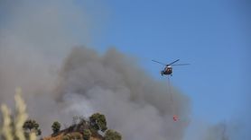 Aydın'da Zeytinlik ve Ormanlık Alan Yangınına Müdahale