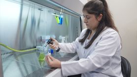 Balık Atıkları ile Mikroalg Üretimi: Deniz Kirliliğine Çözüm