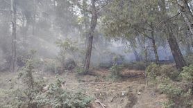 Balıkesir'de Orman Yangını Kontrol Altına Alındı