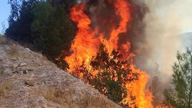 Balıkesir'de Orman Yangını Kontrol Altına Alındı