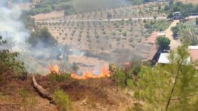 Balıkesir'deki Orman Yangınına Hızlı Müdahale