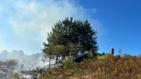 Bilecik'teki Yangın Kontrol Altına Alındı