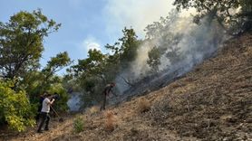 Bingöl'deki Orman Yangınına Müdahale Başlatıldı