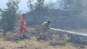 Bingöl'deki Örtü Yangını Kontrol Altına Alındı
