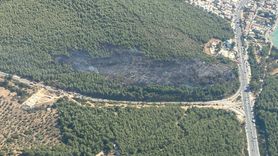 Bodrum'daki Orman Yangını Kontrol Altına Alındı