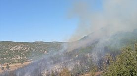 Burdur'da Orman Yangını Kontrol Altına Alındı