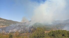Burdur'da Orman Yangınına Müdahale Başlatıldı