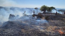 Bursa'da Orman Yangınına Hızla Müdahale Ediliyor