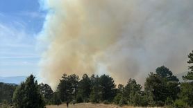 Bursa'daki Orman Yangınına Müdahale Başlatıldı