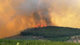 Bursa'daki Orman Yangınına Müdahale Devam Ediyor