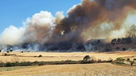 Çanakkale'deki Zeytinlik Yangını Kontrol Altına Alındı