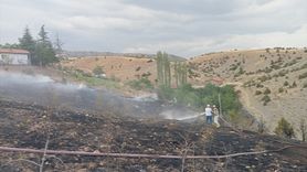 Çorum'da Orman Yangını: 10 Dekar Alan Kül Oldu