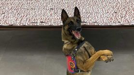 Denizli'de Uyuşturucu Operasyonu: Şüpheli Tutuklandı