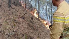 Denizli'nin Buldan İlçesindeki Orman Yangınına Hızla Müdahale Devam Ediyor
