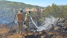 Diyarbakır'daki Yangınlar Kontrol Altına Alındı