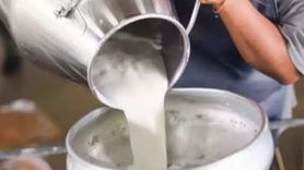 Dün nabız yoklanmıştı: Süt Fiyatlarına Yeni Ayar
