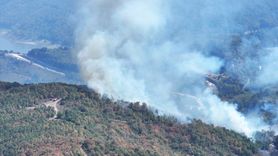 Düzce'de Orman Yangınına Müdahale Devam Ediyor