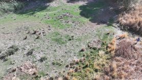 Edirne'deki Musabeyli Göleti Tamamen Kurudu