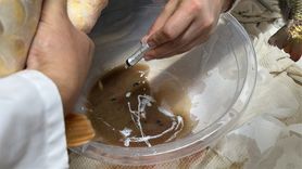 Eğirdir Gölü'nde Sazan Popülasyonu Artırılacak