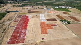 Gediz Ovası'nda Kurutmalık Ürünler Sergilendi