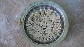 Gümüşhane'de Kadınların Kışlık Yiyecek Hazırlığı